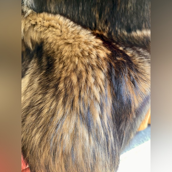 Vintage Genuine Real Fox Coat, Hip-Length, Brown, Tan, Cream | Ultra Plush - Picture 9 of 10